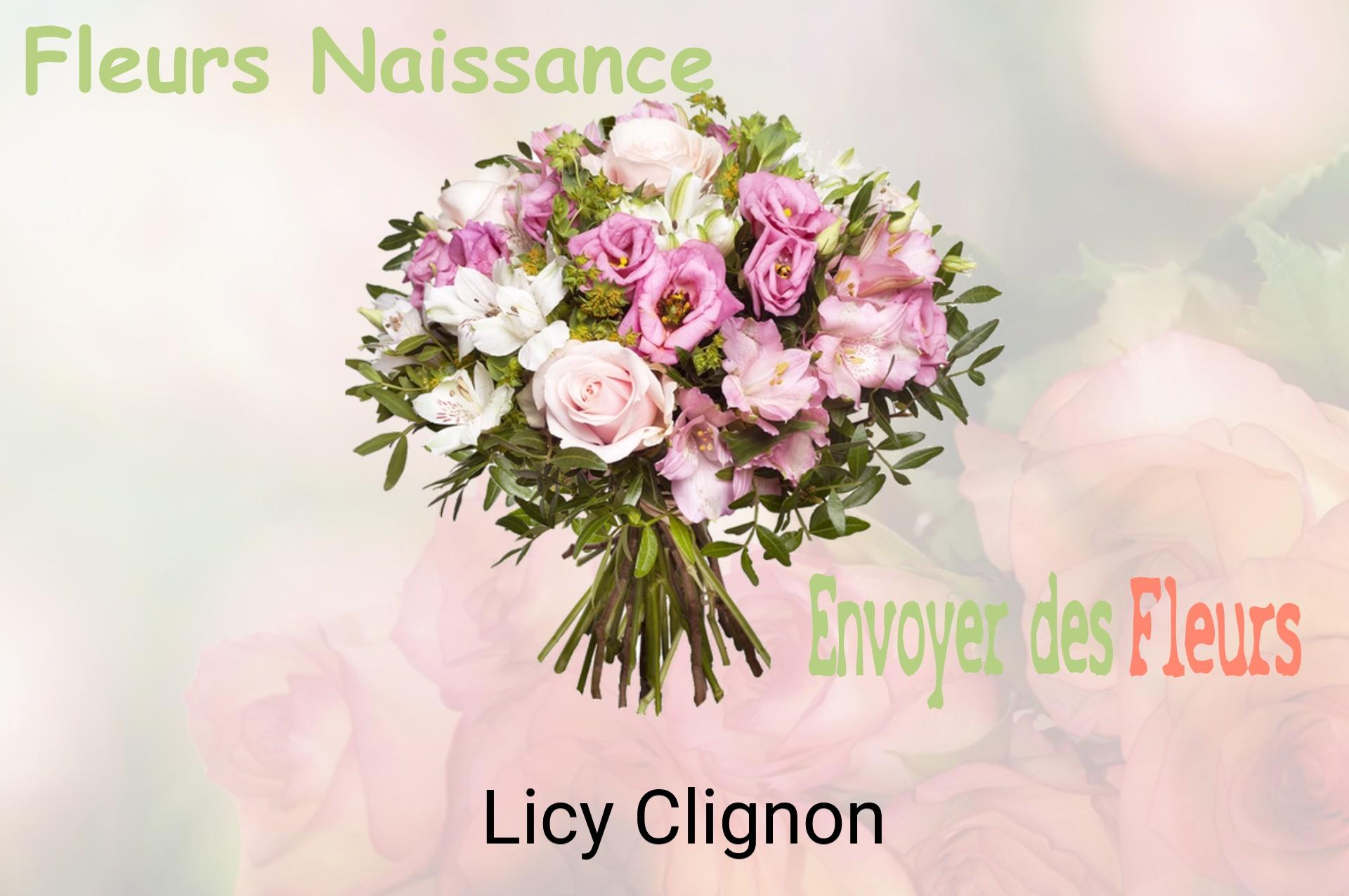 Bouquet de fleurs de naissance livré à Licy-Clignon