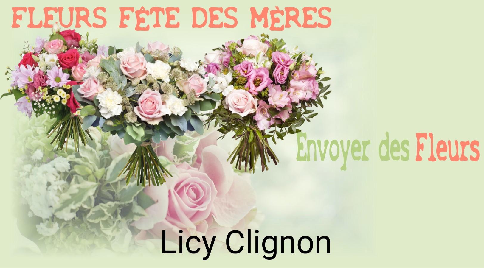 Bouquet de Fête des Mères livré à Licy-Clignon